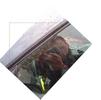 drivers side window