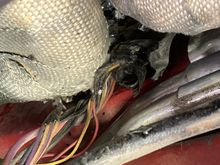 Any ideas why I don’t have a popped fuse on anything 