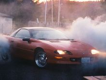 Wildcat