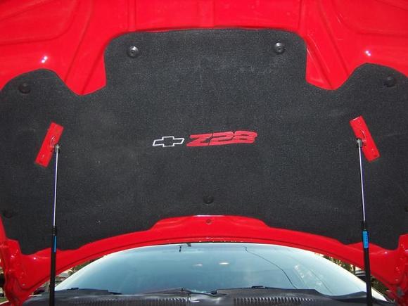 Hood Liner