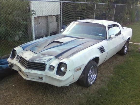 The Great White