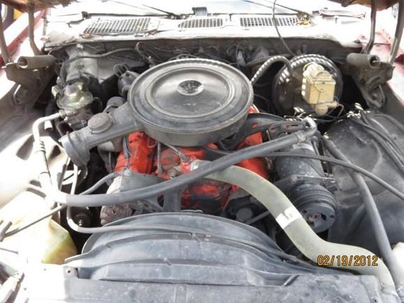 305,but i want maybe a 383.