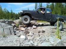 Wild Bill