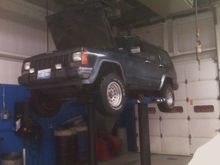 she thinks she can fly
