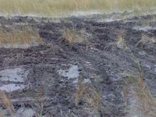 New mud hole 118470