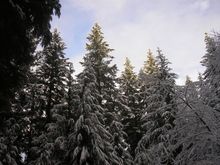 P1010007