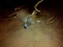 killed (2010) off the side of the road... chevy truck took him out... i know this cause the grill was with the deer... he must have laid there all night suffering because the meat was no good... tried to make his life worth something but now all i got is a nice 8 point rattle rack... lol