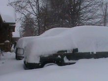 Most snow I've ever seen