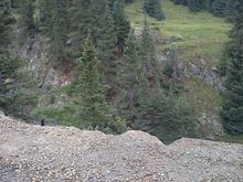 Animas Forks Rd.