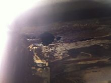 Windshield rust