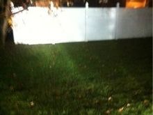 image 1980334173