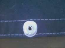 dot female side