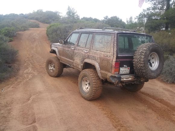 Did a cow run and will be doing another on Saturday.