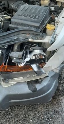Headlight vs. deer head. No winners.