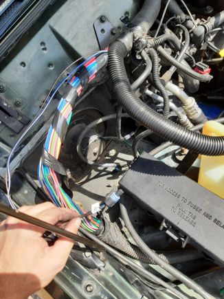 I labeled the electrical connector too
