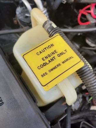 Coolant overflow cap.