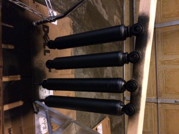 I didn't like the white shocks.