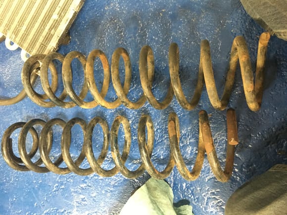 3" OME springs