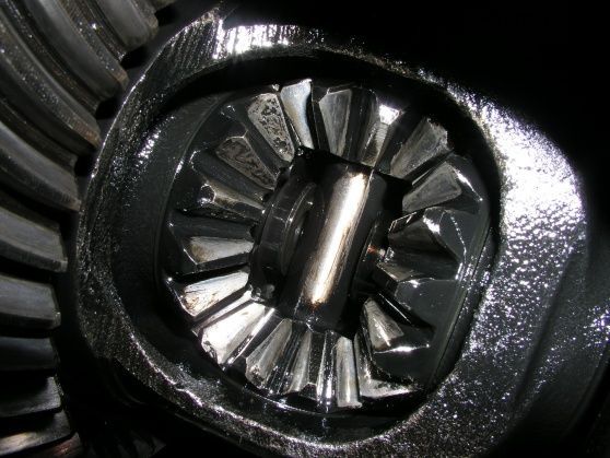 i found pitted spider gears in the dana 35