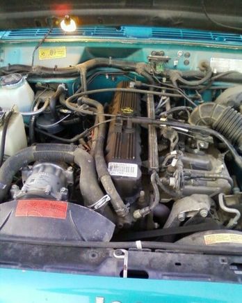 engine was surprisingly clean.....meaning no oil splattered all over it lol