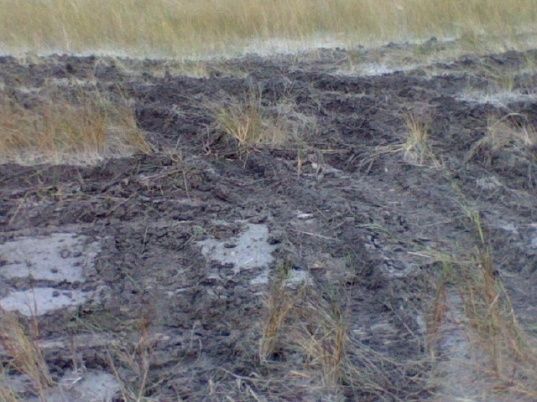 New mud hole 118470