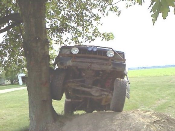climbing tree