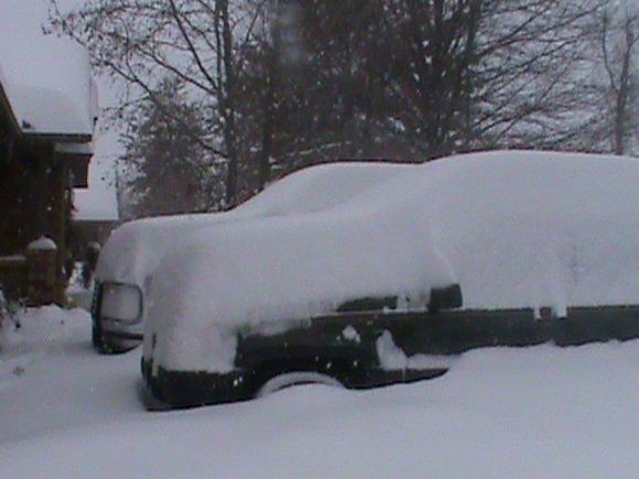 Most snow I've ever seen