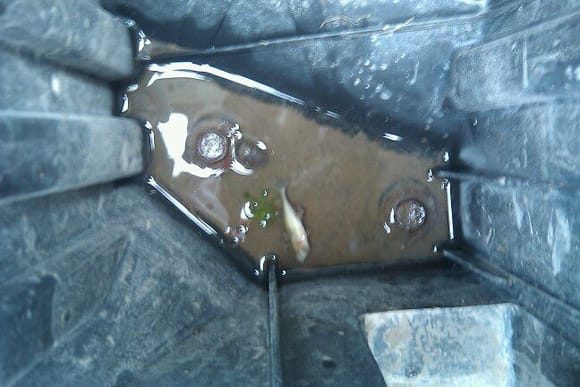 fish in my airbox after muddin, who knew an xj doubles as a fishing lure ;)