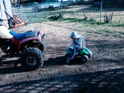 brayden pullin 3-wheeler