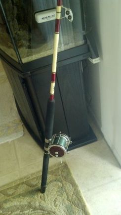 My Penn Senator 4/0 reel along with my Penn Senator heavy action rod with rollers! (My new shark rod) 80lb mono 250lb mono liter