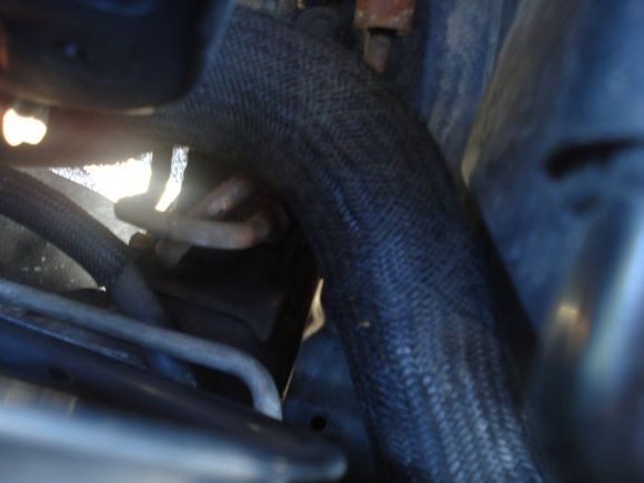 Lower hose