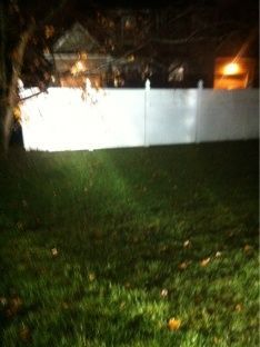 image 1980334173