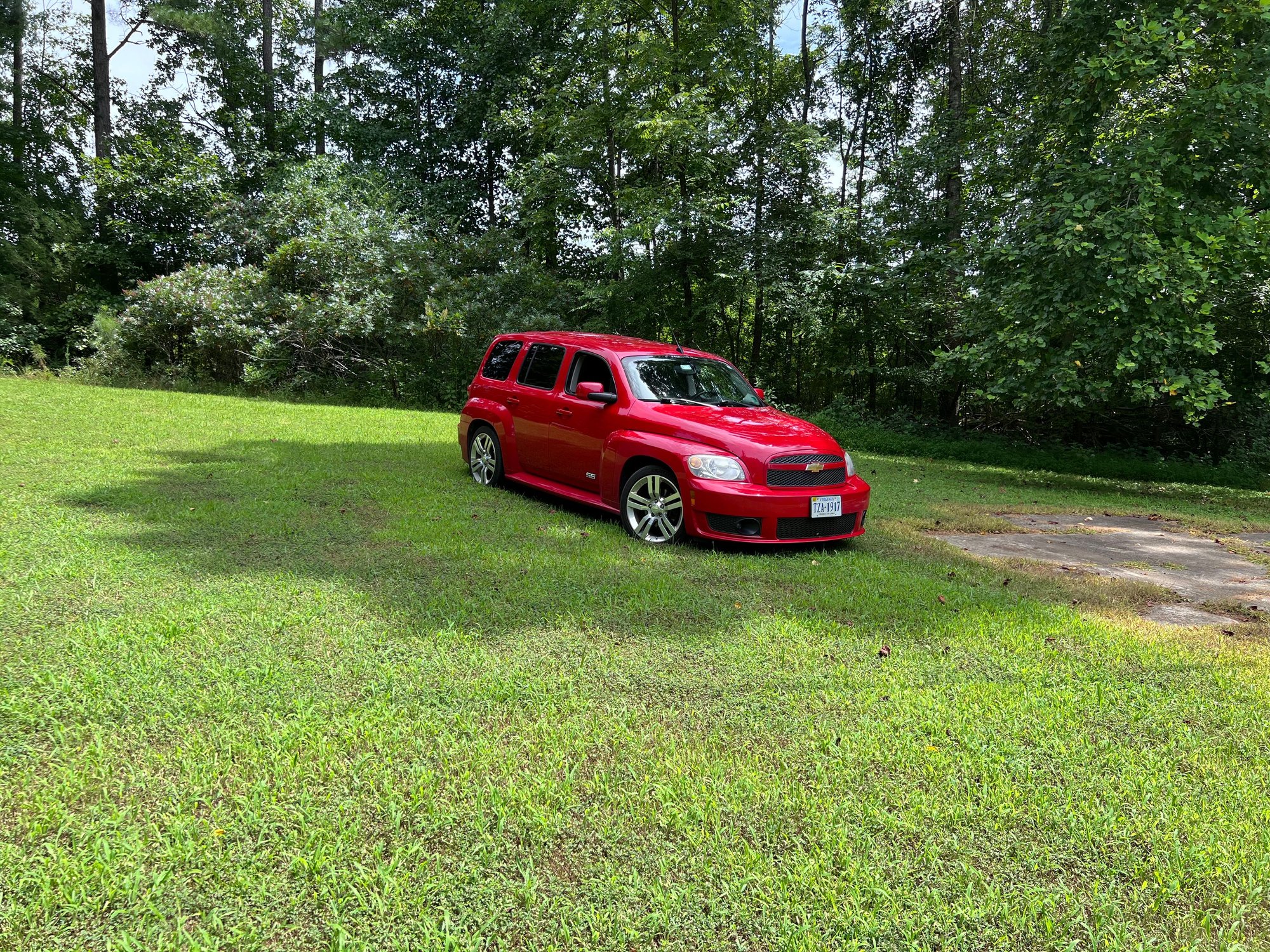 Hanging out in the shade.