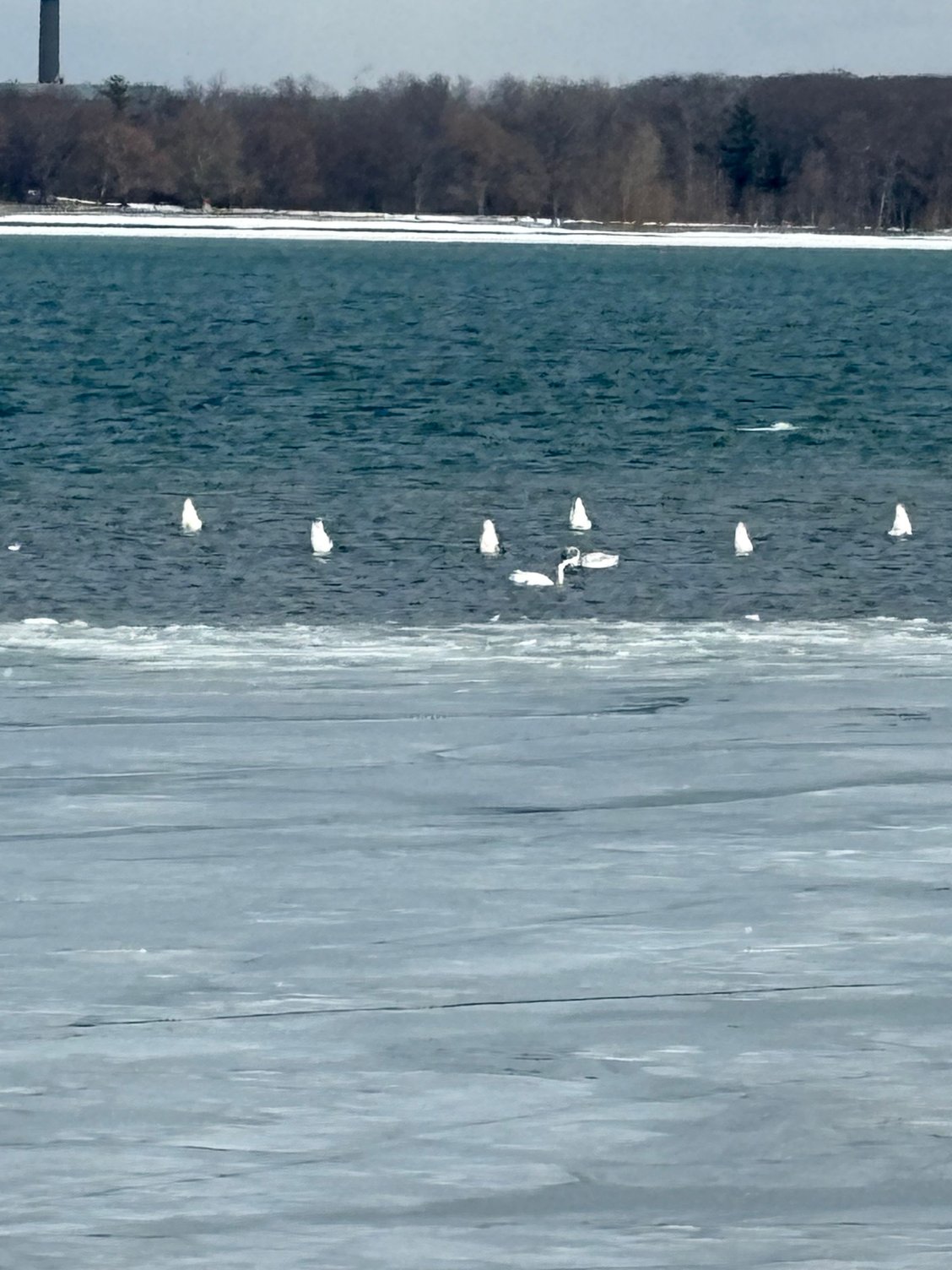 Some came up for air. 