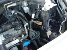 Tied clove hitch to hood strut bowline base of plastic fuse box that would drop down on hood close. & lift on open (breaks needed)