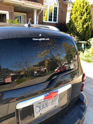 Representing the site! and Bob’s red bowtie 