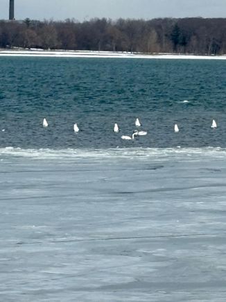Some came up for air. 