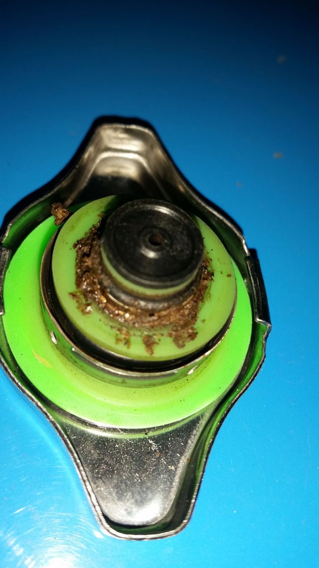 Rap Cap/Radiator Gunk ClubLexus Lexus Forum Discussion