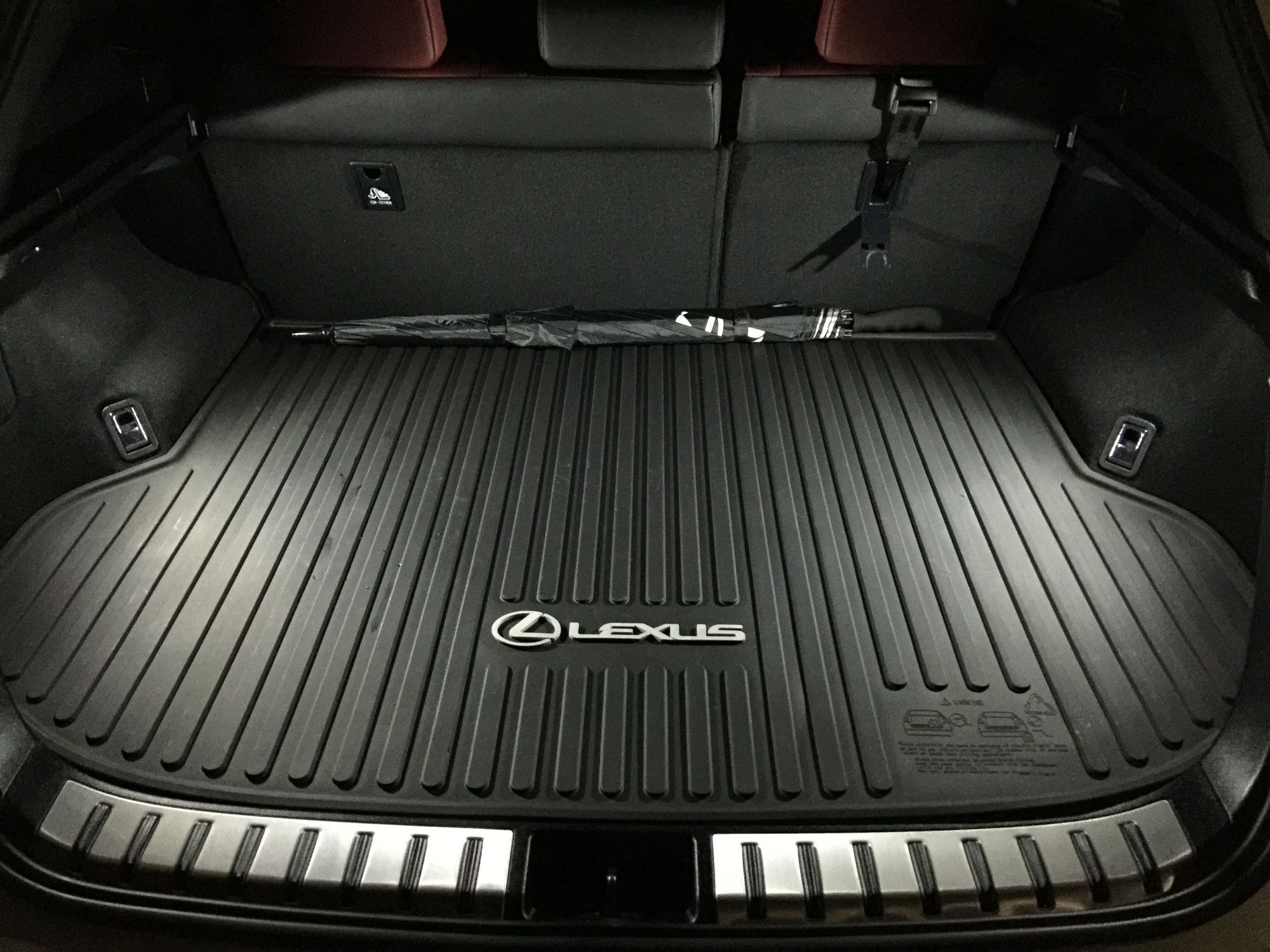 Pics of my new NX WeatherTech liners (floor & cargo) Page 2
