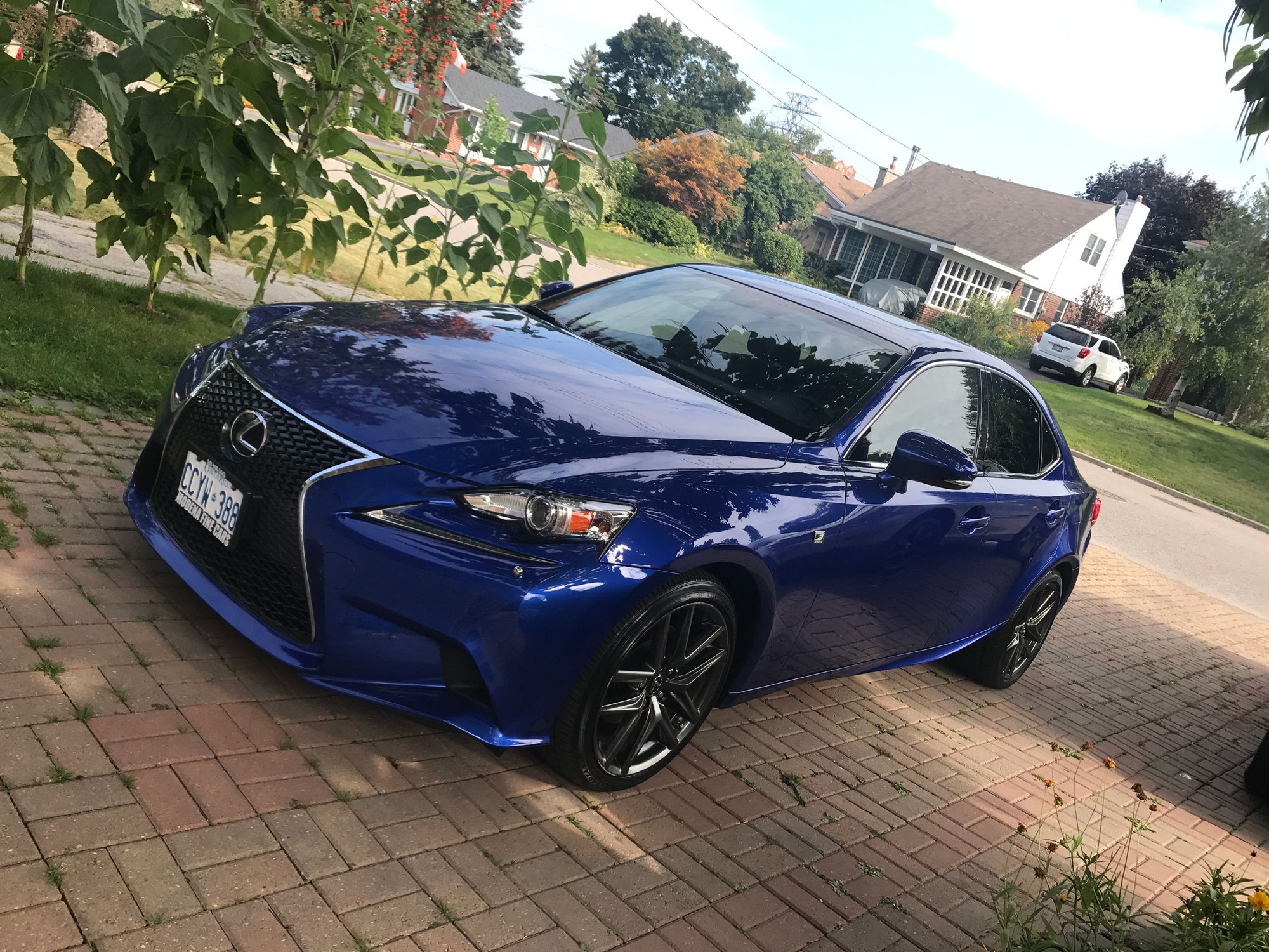 Side Plate Mount for 21 IS300 - ClubLexus - Lexus Forum Discussion