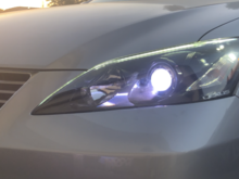 $10 LED strips wired to parking light and turn signals