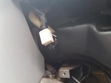 Connector for the switch, can be found tucked away to the side, in the Soarer at least.