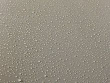 After the rain