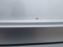 Plate paint damage