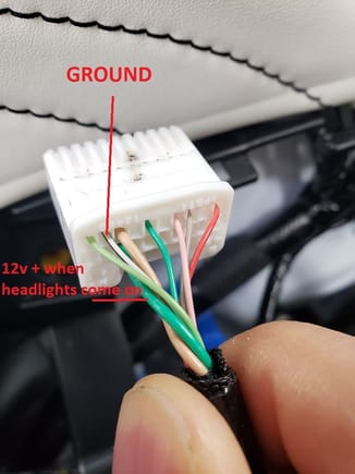 Window control harness/plug.  Thicker green wire is 12v + when headlights are on.  Thinner white wire with black stripe is ground.
