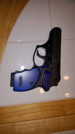Bersa with blue grips