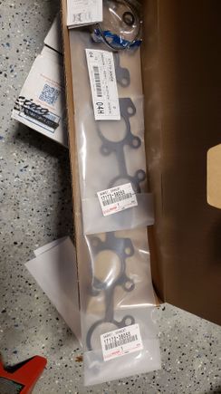 OEM Manifold gaskets