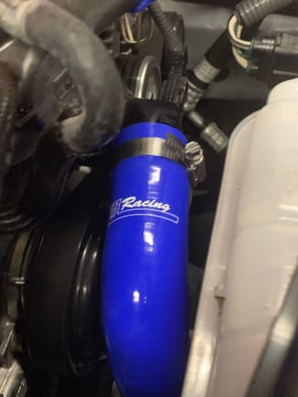 Upper and lower radiator hose from RR Racing