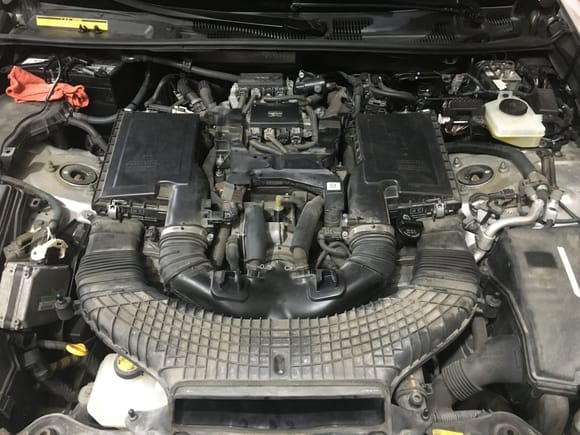 Rats nest, have fun getting the intake off or replacing wear items like the PCV/separator or even doing air filters since the MAFs like to snap the connectors. 