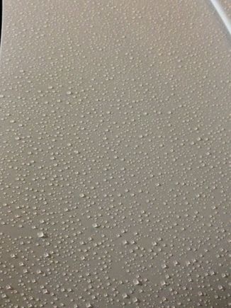 After the rain
